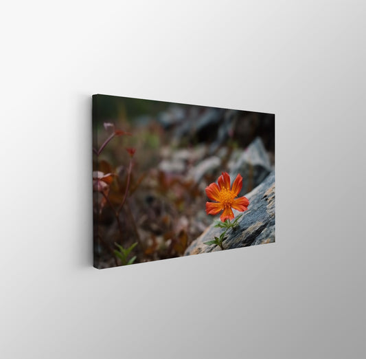 tablou canvas ; tablou pe panza ;tablou personalizat ;tablou abstract ;tablou natura