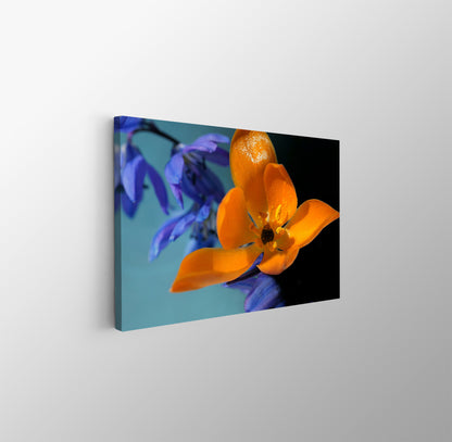 tablou canvas ; tablou pe panza ;tablou personalizat ;tablou abstract ;tablou natura