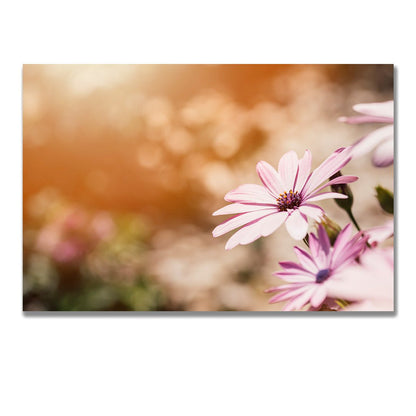 tablou canvas ; tablou pe panza ;tablou personalizat ;tablou abstract ;tablou natura