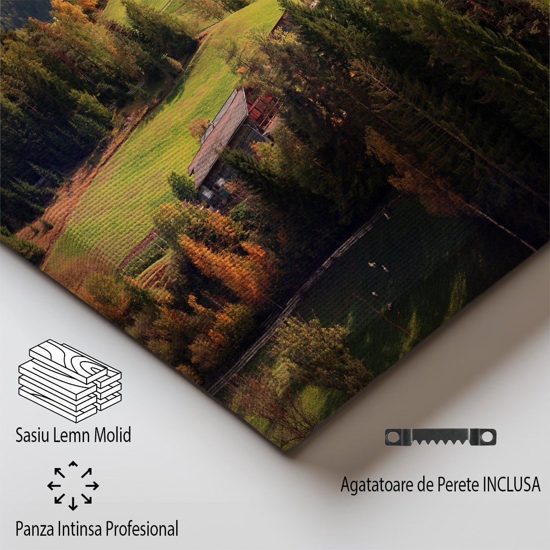 tablou canvas ; tablou pe panza ;tablou personalizat ;tablou abstract ;tablou natura