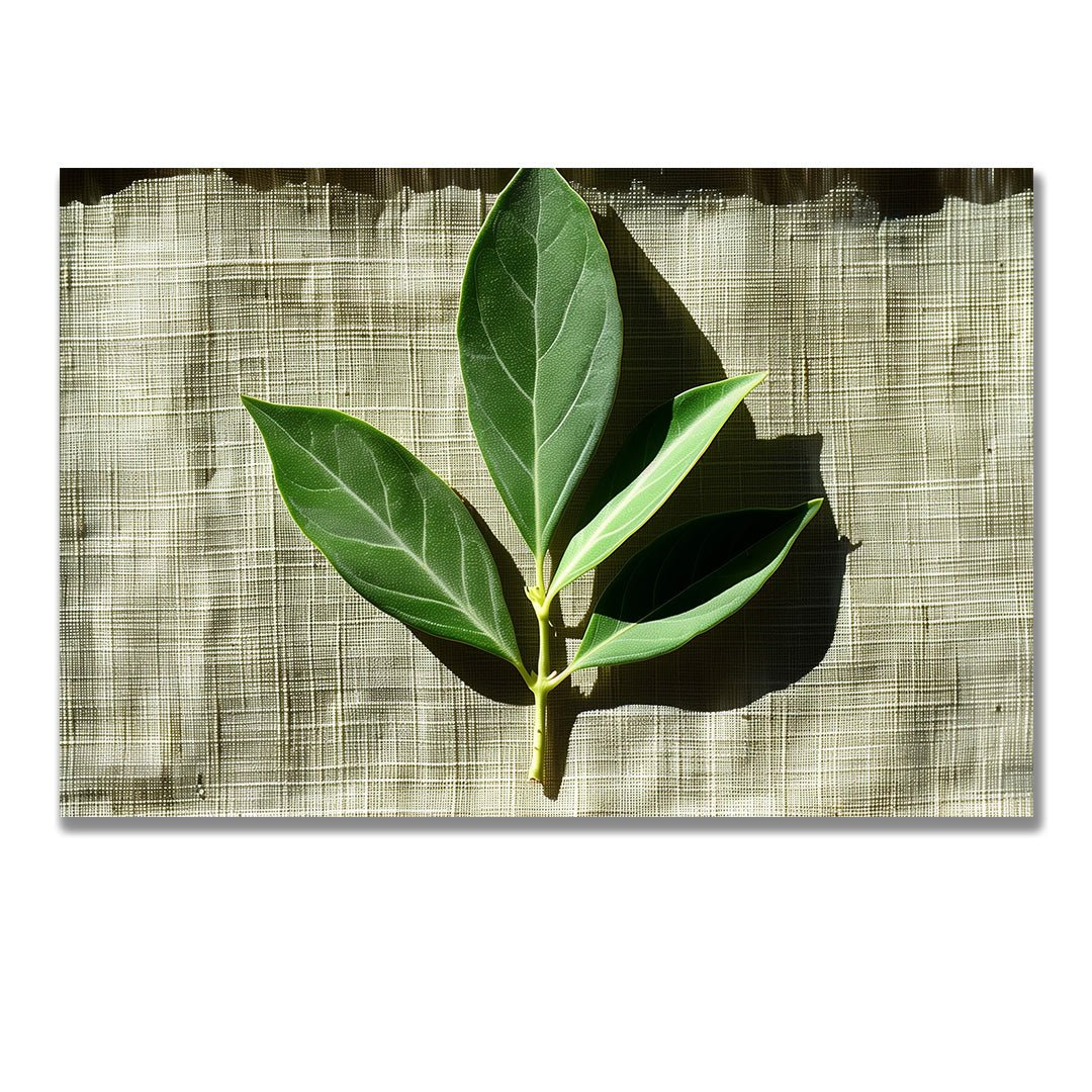 Tablou Canvas frunze proaspete cu umbre line in verde realist | The Print Studio