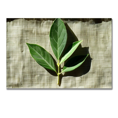 Tablou Canvas frunze proaspete cu umbre line in verde realist | The Print Studio