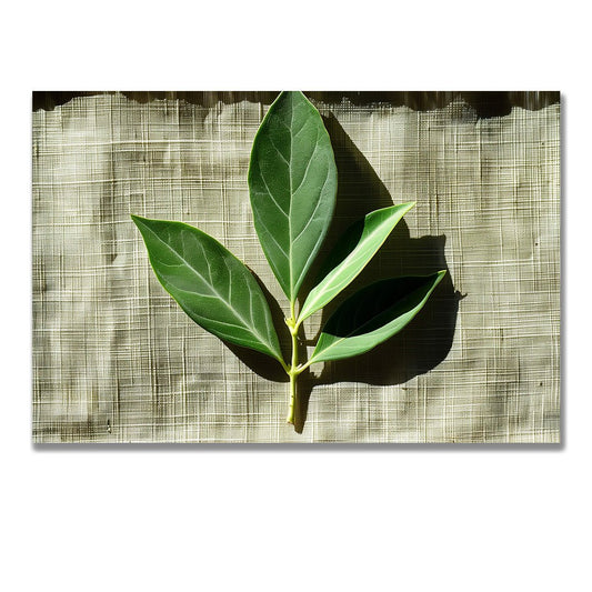 Tablou Canvas frunze proaspete cu umbre line in verde realist | The Print Studio