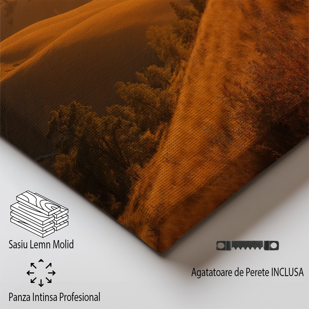 tablou canvas ; tablou pe panza ;tablou personalizat ;tablou abstract ;tablou natura