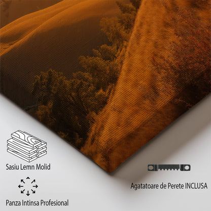tablou canvas ; tablou pe panza ;tablou personalizat ;tablou abstract ;tablou natura