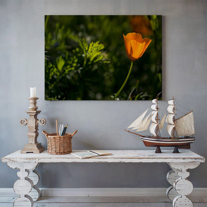 tablou canvas ; tablou pe panza ;tablou personalizat ;tablou abstract ;tablou natura