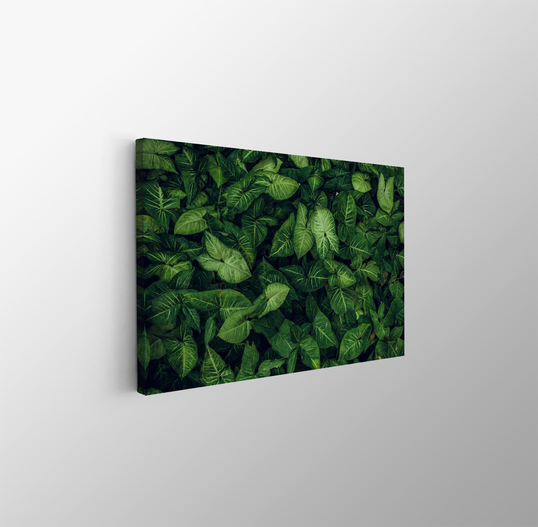 tablou canvas ; tablou pe panza ;tablou personalizat ;tablou abstract ;tablou natura