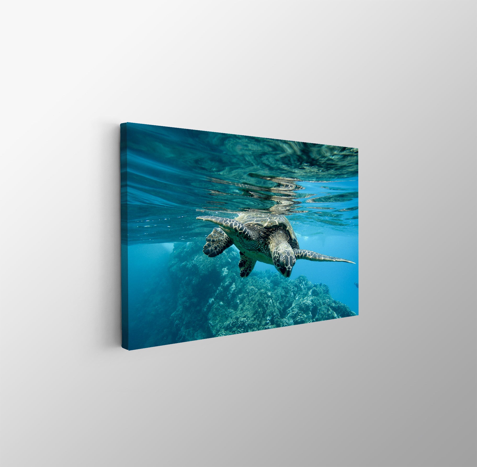 tablou canvas ; tablou pe panza ;tablou personalizat ;tablou abstract ;tablou natura