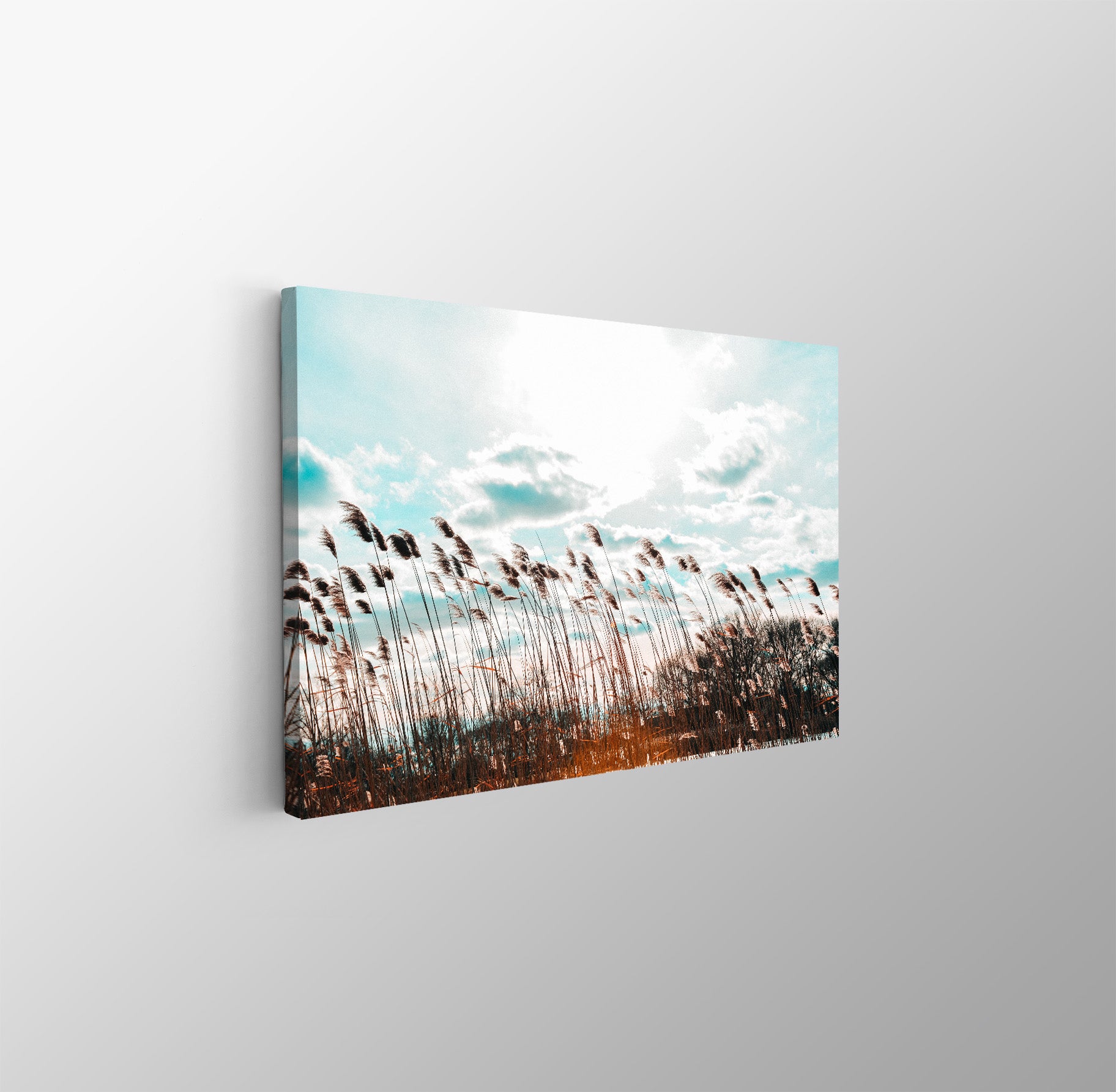 tablou canvas ; tablou pe panza ;tablou personalizat ;tablou abstract ;tablou natura