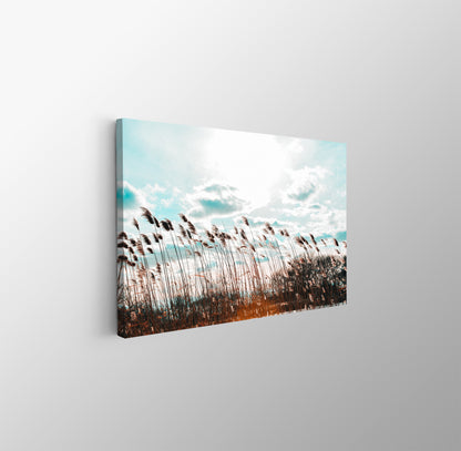 tablou canvas ; tablou pe panza ;tablou personalizat ;tablou abstract ;tablou natura
