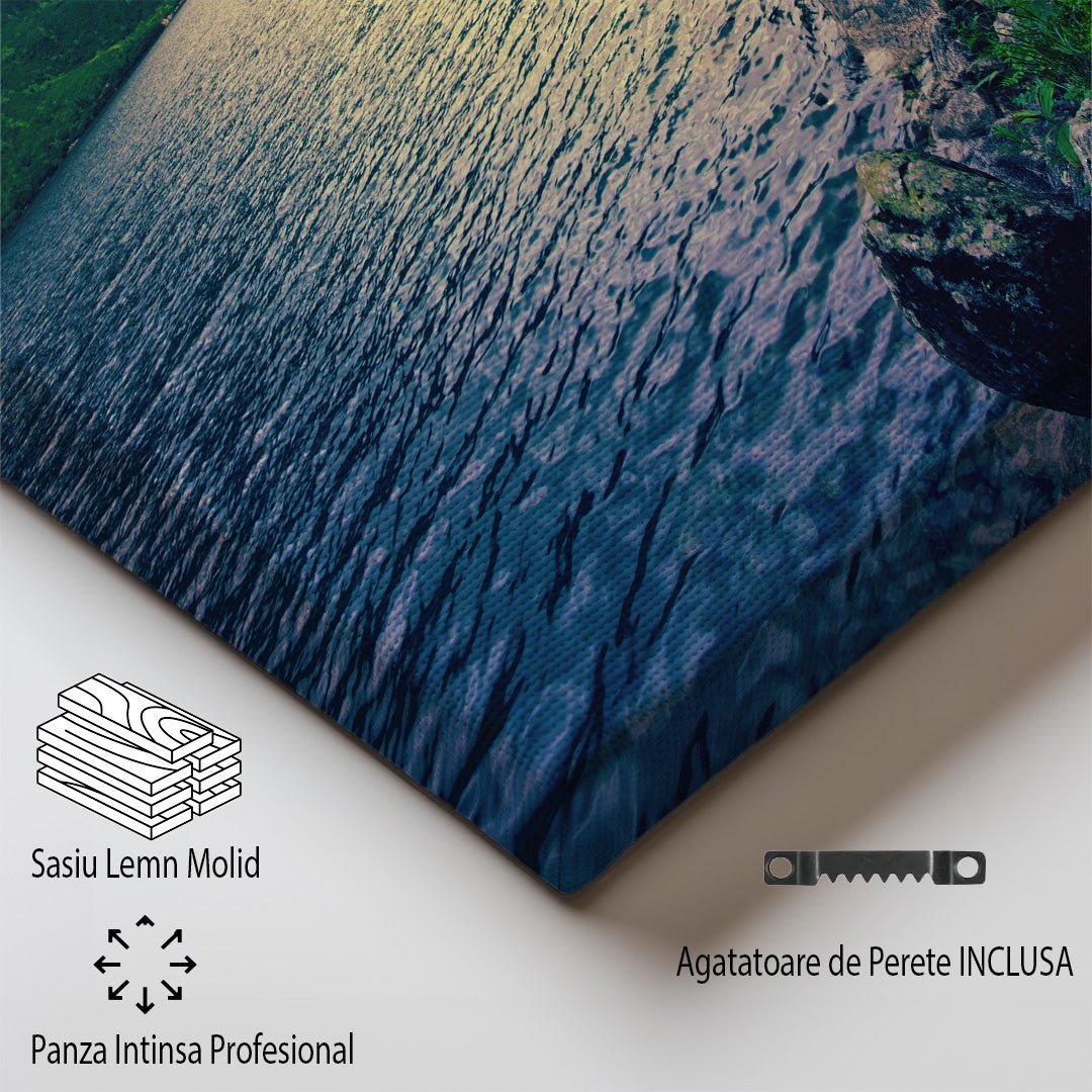 tablou canvas ; tablou pe panza ;tablou personalizat ;tablou abstract ;tablou natura