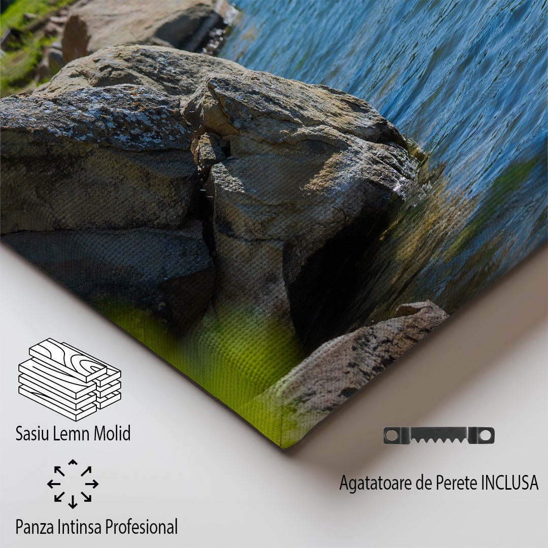 tablou canvas ; tablou pe panza ;tablou personalizat ;tablou abstract ;tablou natura