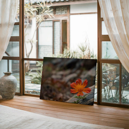 tablou canvas ; tablou pe panza ;tablou personalizat ;tablou abstract ;tablou natura