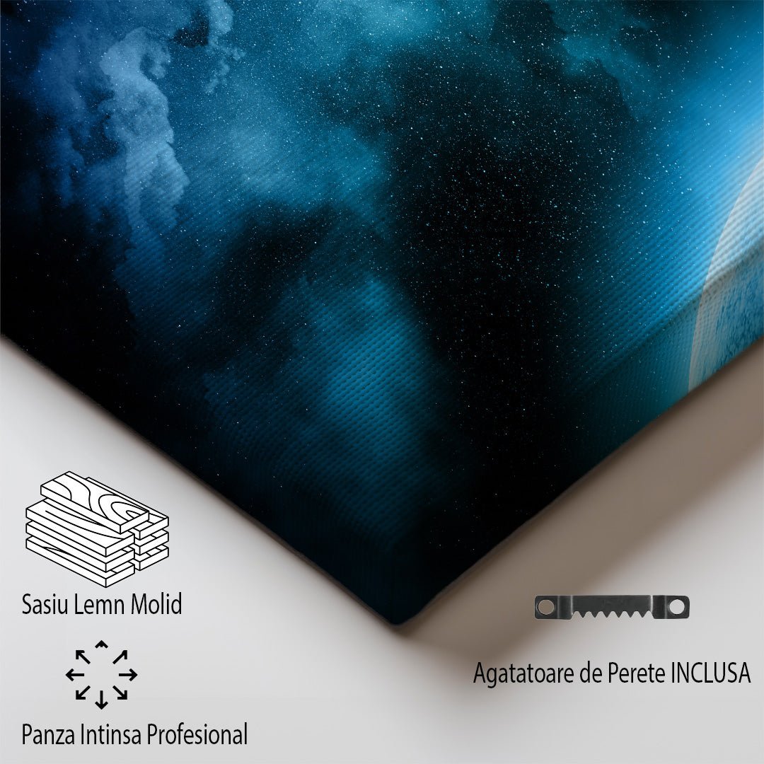 tablou canvas ; tablou pe panza ;tablou personalizat ;tablou abstract ;tablou natura