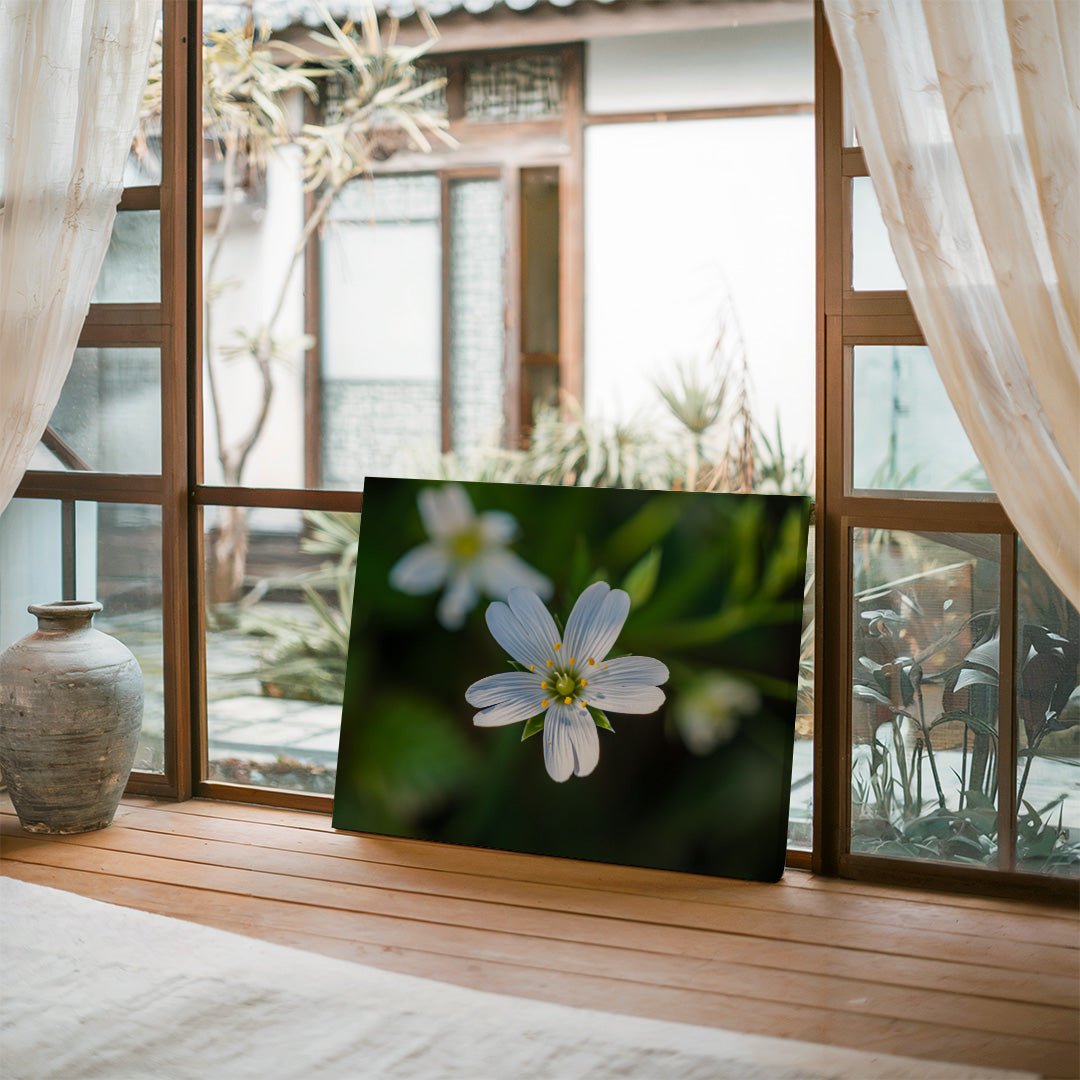 tablou canvas ; tablou pe panza ;tablou personalizat ;tablou abstract ;tablou natura