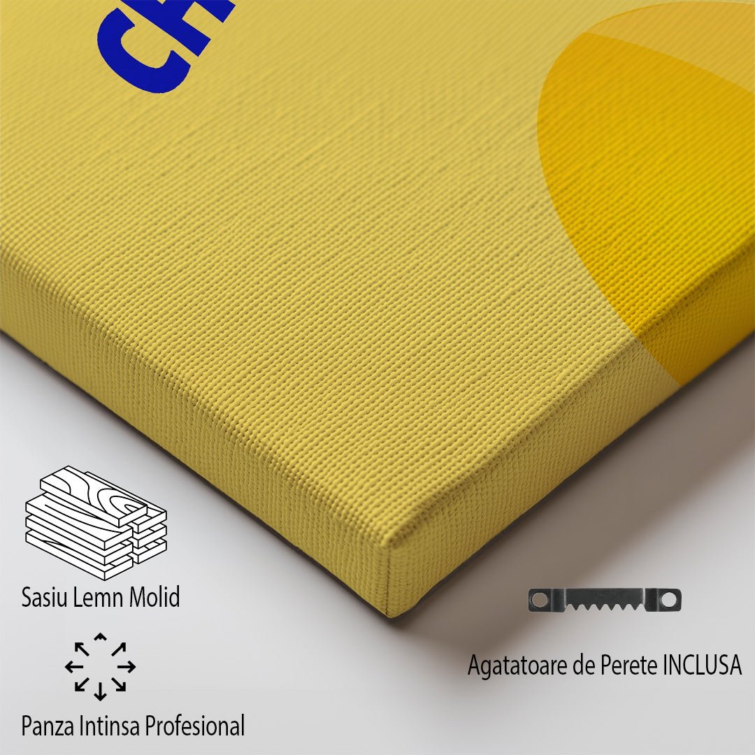 Tablou Canvas sombrero vibrant pe fundal simplu Cancun | The Print Studio