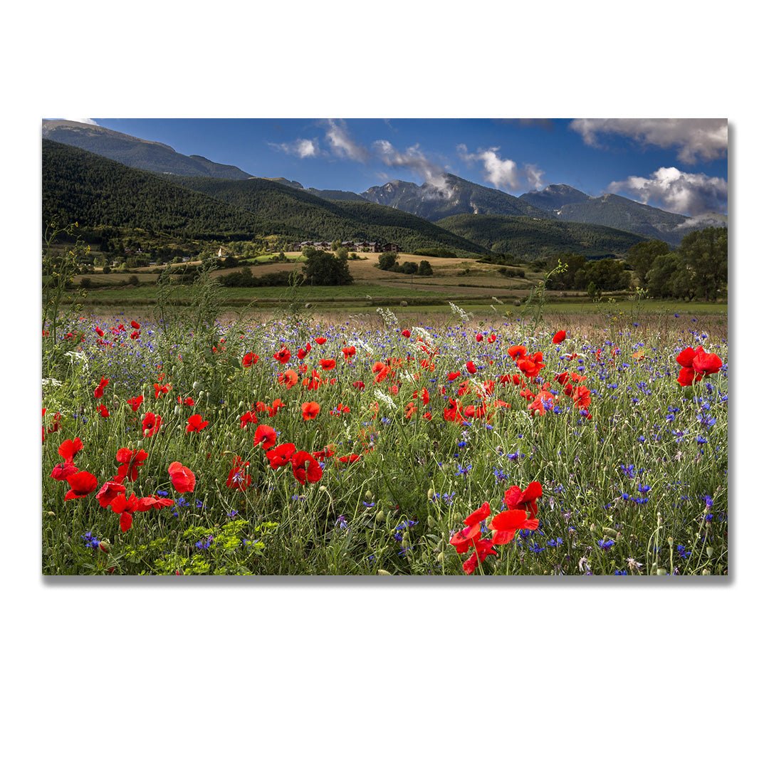 tablou canvas ; tablou pe panza ;tablou personalizat ;tablou abstract ;tablou natura