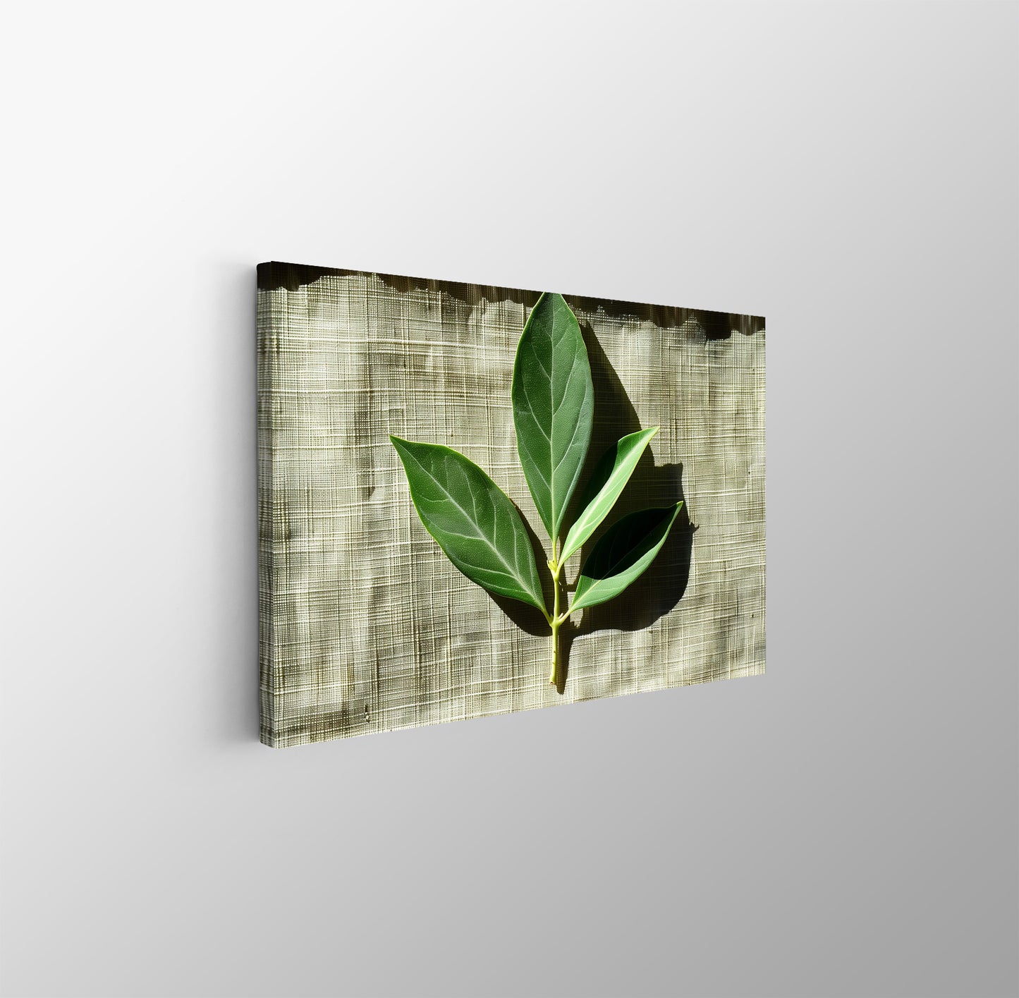 Tablou Canvas frunze proaspete cu umbre line in verde realist | The Print Studio