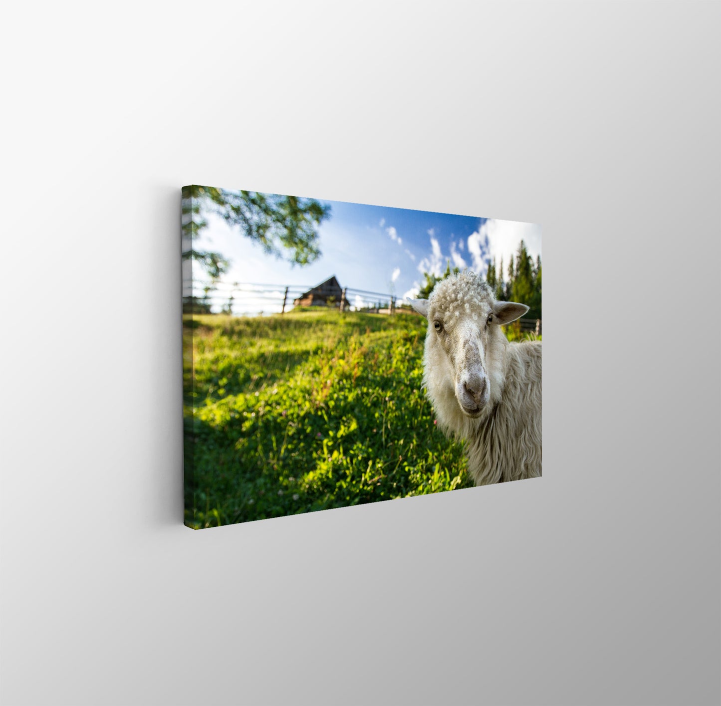 tablou canvas ; tablou pe panza ;tablou personalizat ;tablou abstract ;tablou natura