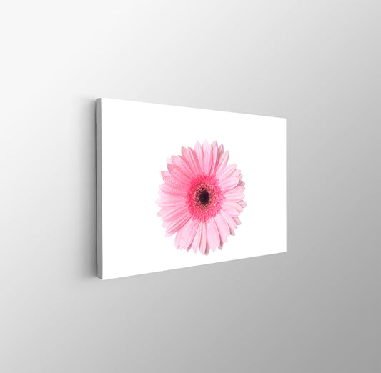 tablou canvas ; tablou pe panza ;tablou personalizat ;tablou abstract ;tablou natura