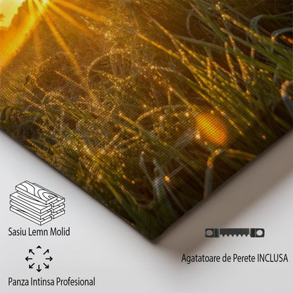 tablou canvas ; tablou pe panza ;tablou personalizat ;tablou abstract ;tablou natura