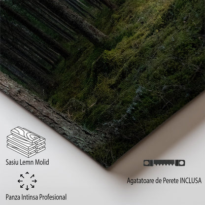 tablou canvas ; tablou pe panza ;tablou personalizat ;tablou abstract ;tablou natura