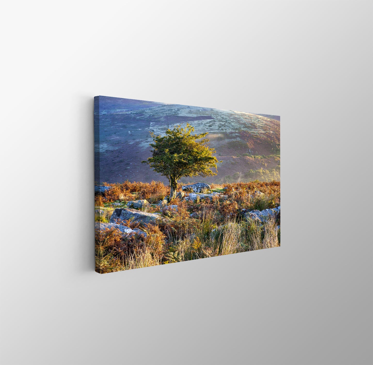 tablou canvas ; tablou pe panza ;tablou personalizat ;tablou abstract ;tablou natura