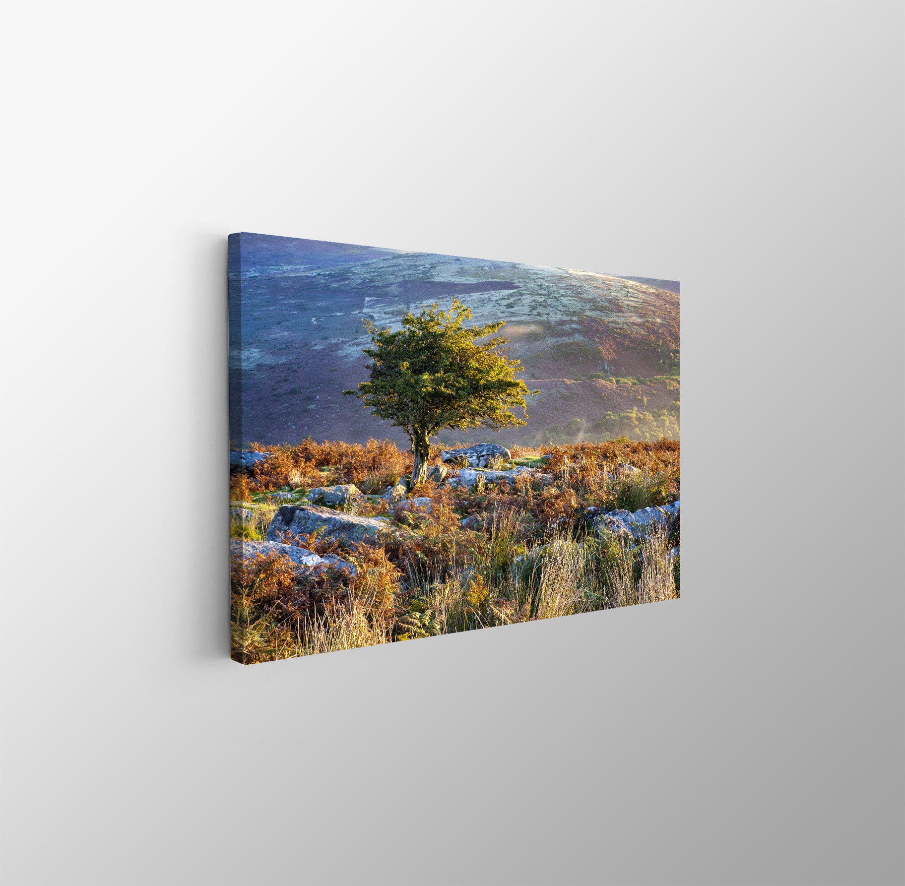tablou canvas ; tablou pe panza ;tablou personalizat ;tablou abstract ;tablou natura
