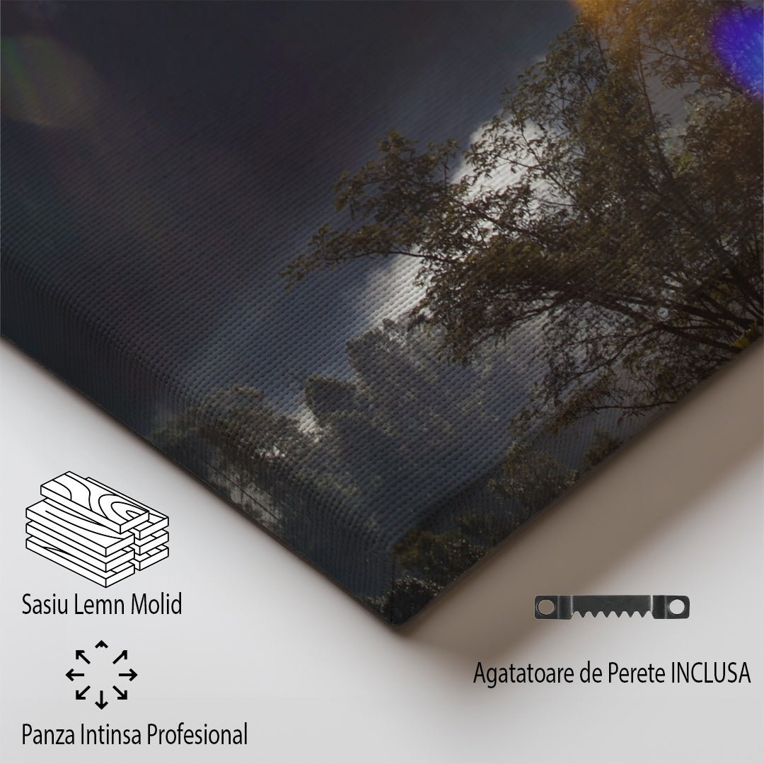 tablou canvas ; tablou pe panza ;tablou personalizat ;tablou abstract ;tablou natura