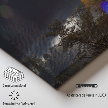 tablou canvas ; tablou pe panza ;tablou personalizat ;tablou abstract ;tablou natura