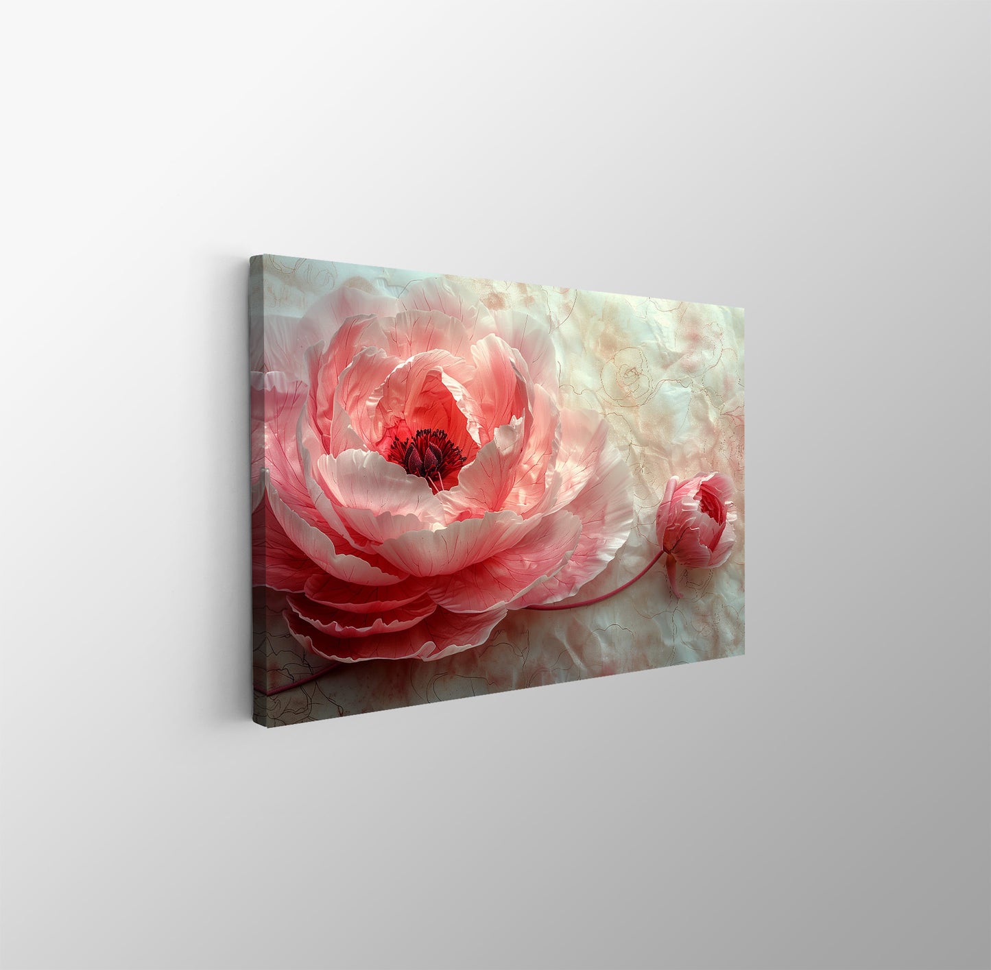Tablou Canvas bujor roz delicat pe fundal alb pur | The Print Studio