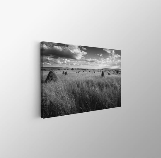 tablou canvas ; tablou pe panza ;tablou personalizat ;tablou abstract ;tablou natura