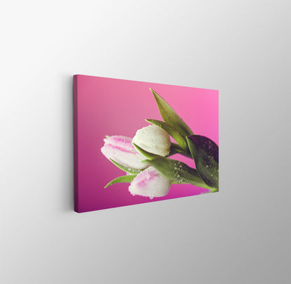 tablou canvas ; tablou pe panza ;tablou personalizat ;tablou abstract ;tablou natura