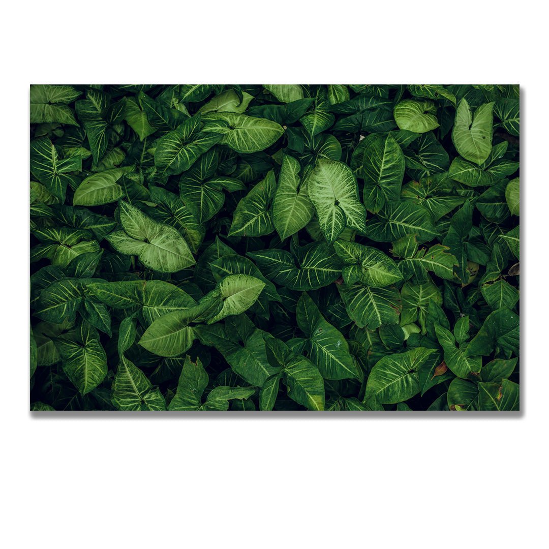 tablou canvas ; tablou pe panza ;tablou personalizat ;tablou abstract ;tablou natura