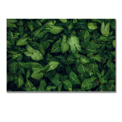 tablou canvas ; tablou pe panza ;tablou personalizat ;tablou abstract ;tablou natura