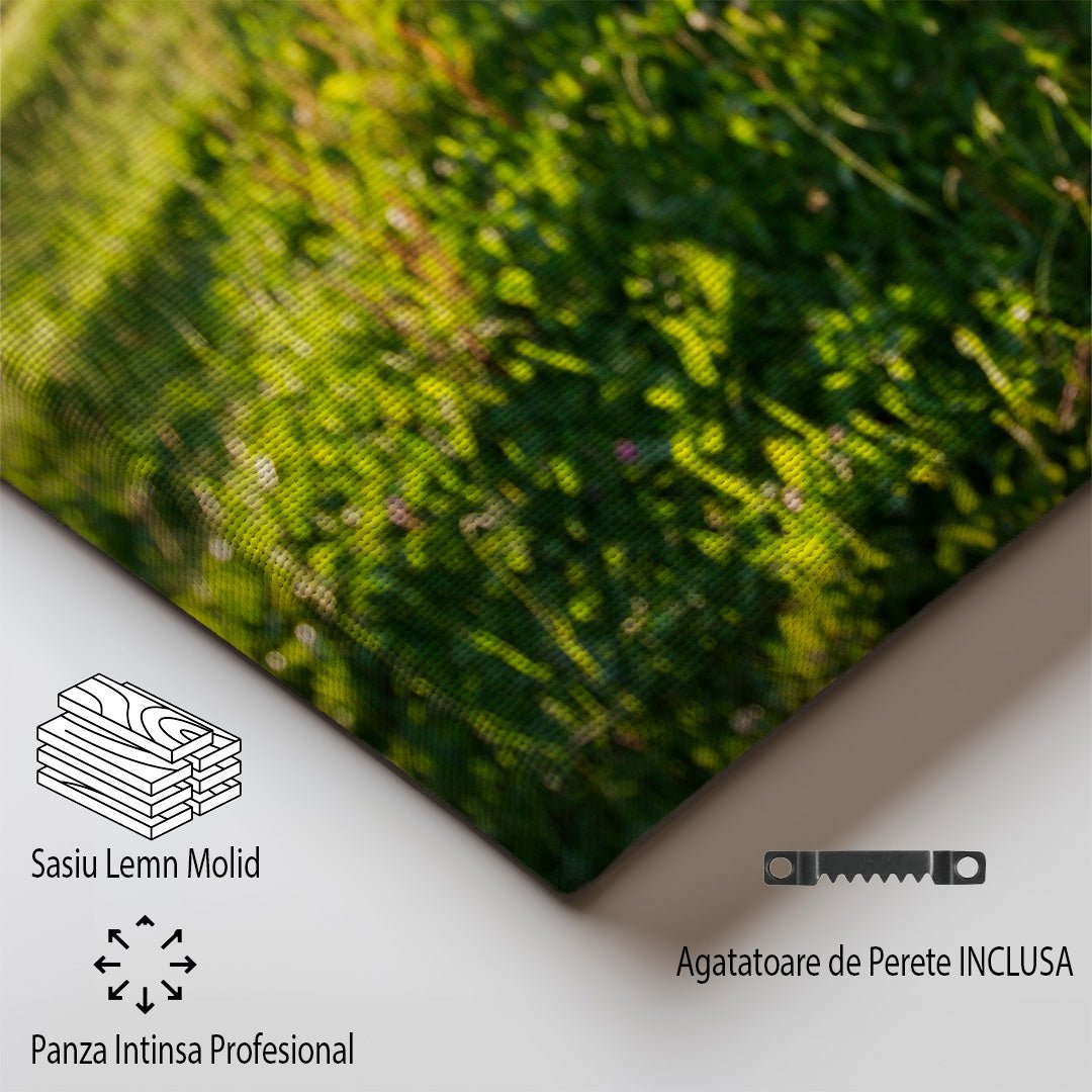 tablou canvas ; tablou pe panza ;tablou personalizat ;tablou abstract ;tablou natura