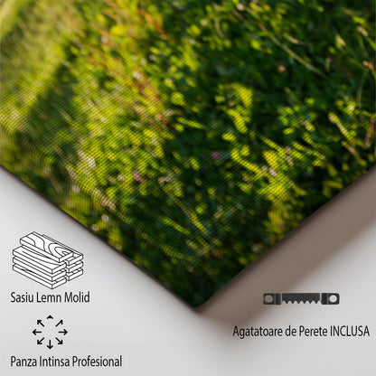 tablou canvas ; tablou pe panza ;tablou personalizat ;tablou abstract ;tablou natura