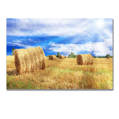 tablou canvas ; tablou pe panza ;tablou personalizat ;tablou abstract ;tablou natura