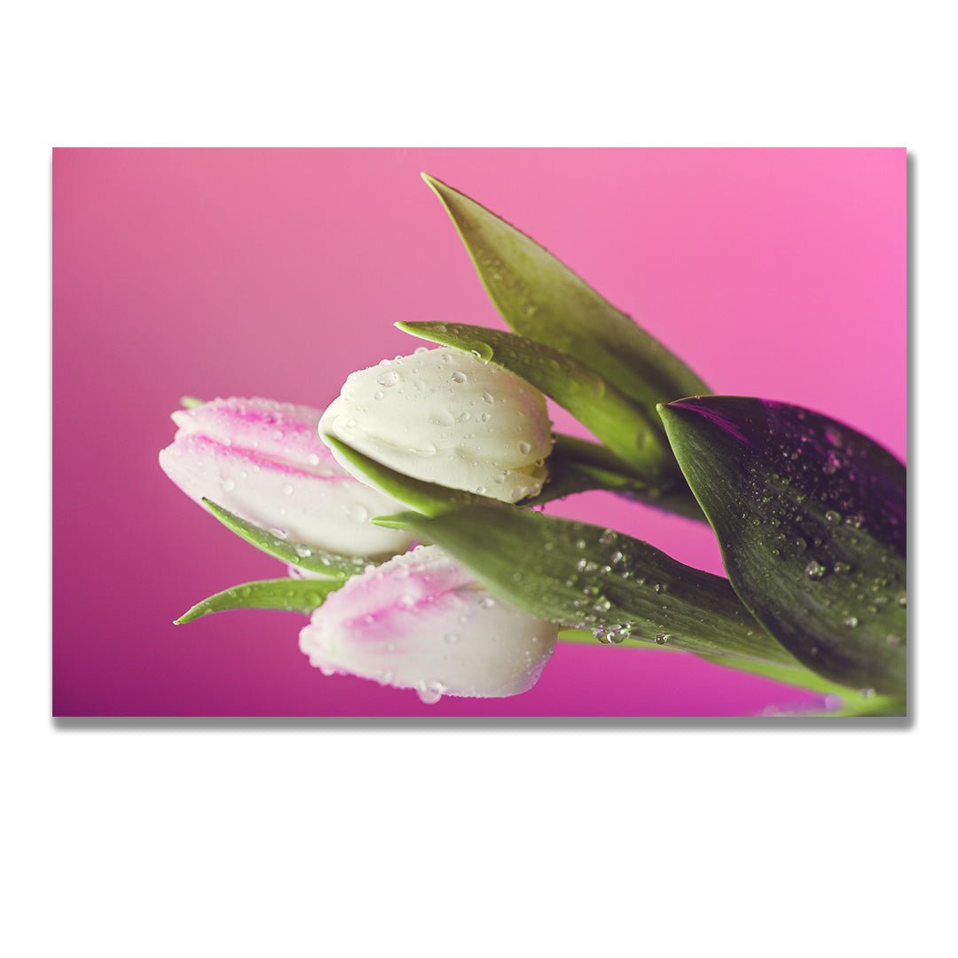 tablou canvas ; tablou pe panza ;tablou personalizat ;tablou abstract ;tablou natura