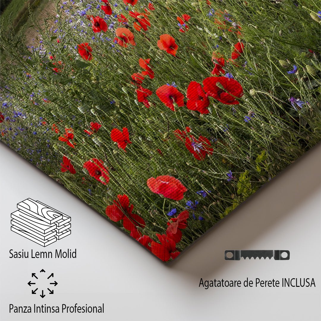 tablou canvas ; tablou pe panza ;tablou personalizat ;tablou abstract ;tablou natura