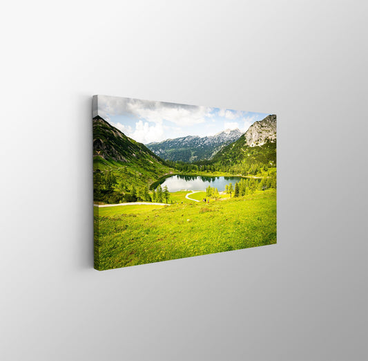 tablou canvas ; tablou pe panza ;tablou personalizat ;tablou abstract ;tablou natura