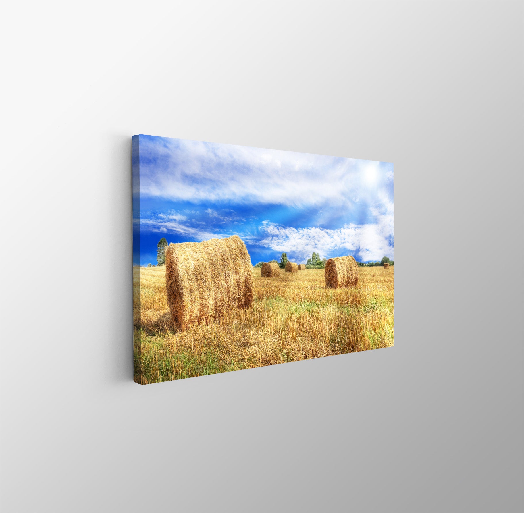 tablou canvas ; tablou pe panza ;tablou personalizat ;tablou abstract ;tablou natura