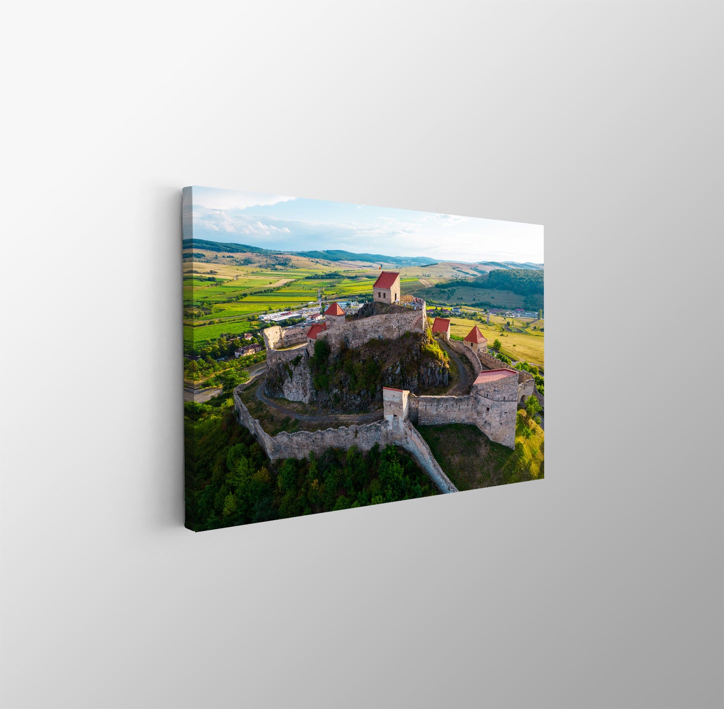 tablou canvas ; tablou pe panza ;tablou personalizat ;tablou abstract ;tablou natura