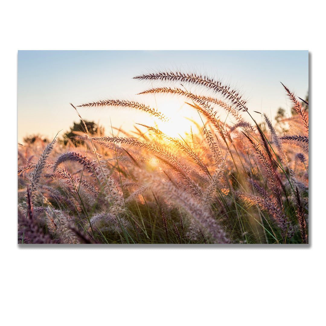 tablou canvas ; tablou pe panza ;tablou personalizat ;tablou abstract ;tablou natura