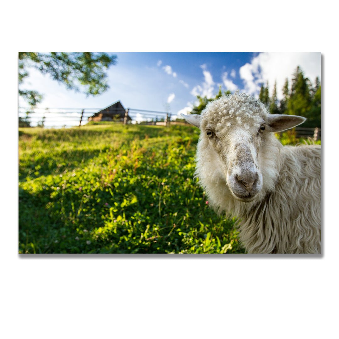 tablou canvas ; tablou pe panza ;tablou personalizat ;tablou abstract ;tablou natura