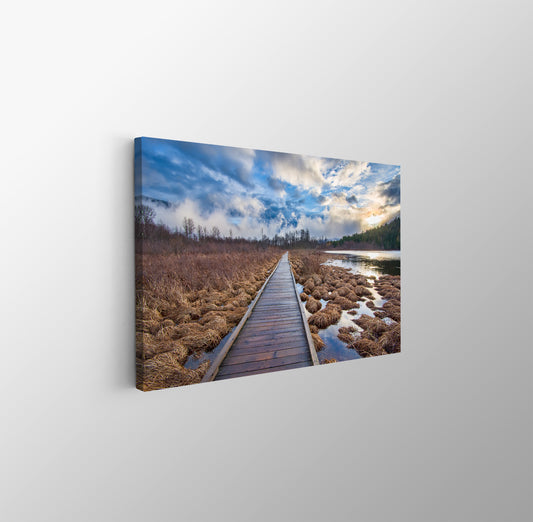 tablou canvas ; tablou pe panza ;tablou personalizat ;tablou abstract ;tablou natura