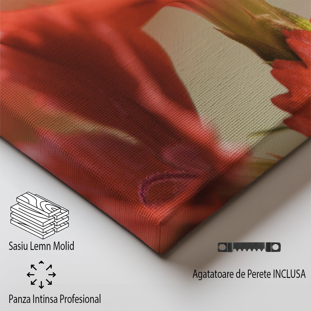 tablou canvas ; tablou pe panza ;tablou personalizat ;tablou abstract ;tablou natura