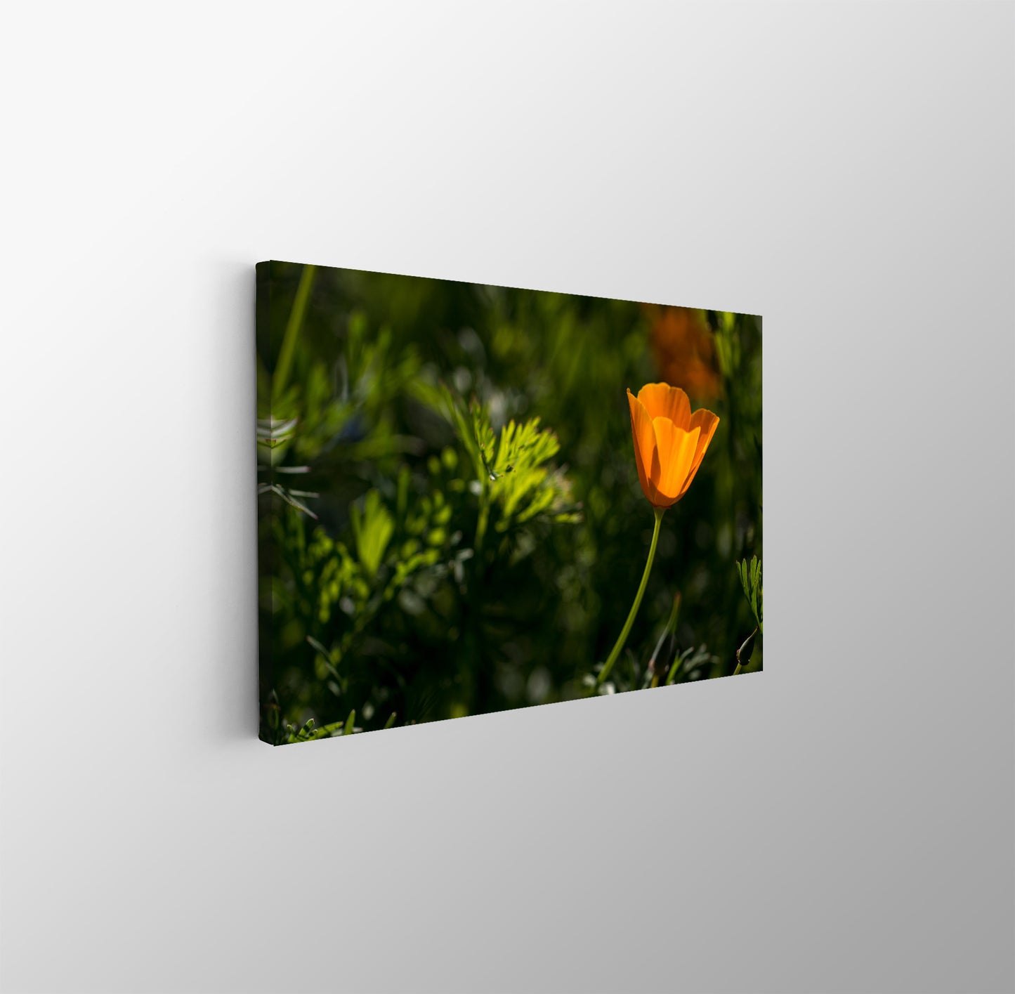 tablou canvas ; tablou pe panza ;tablou personalizat ;tablou abstract ;tablou natura