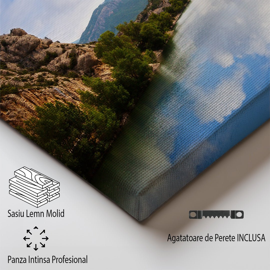 tablou canvas ; tablou pe panza ;tablou personalizat ;tablou abstract ;tablou natura