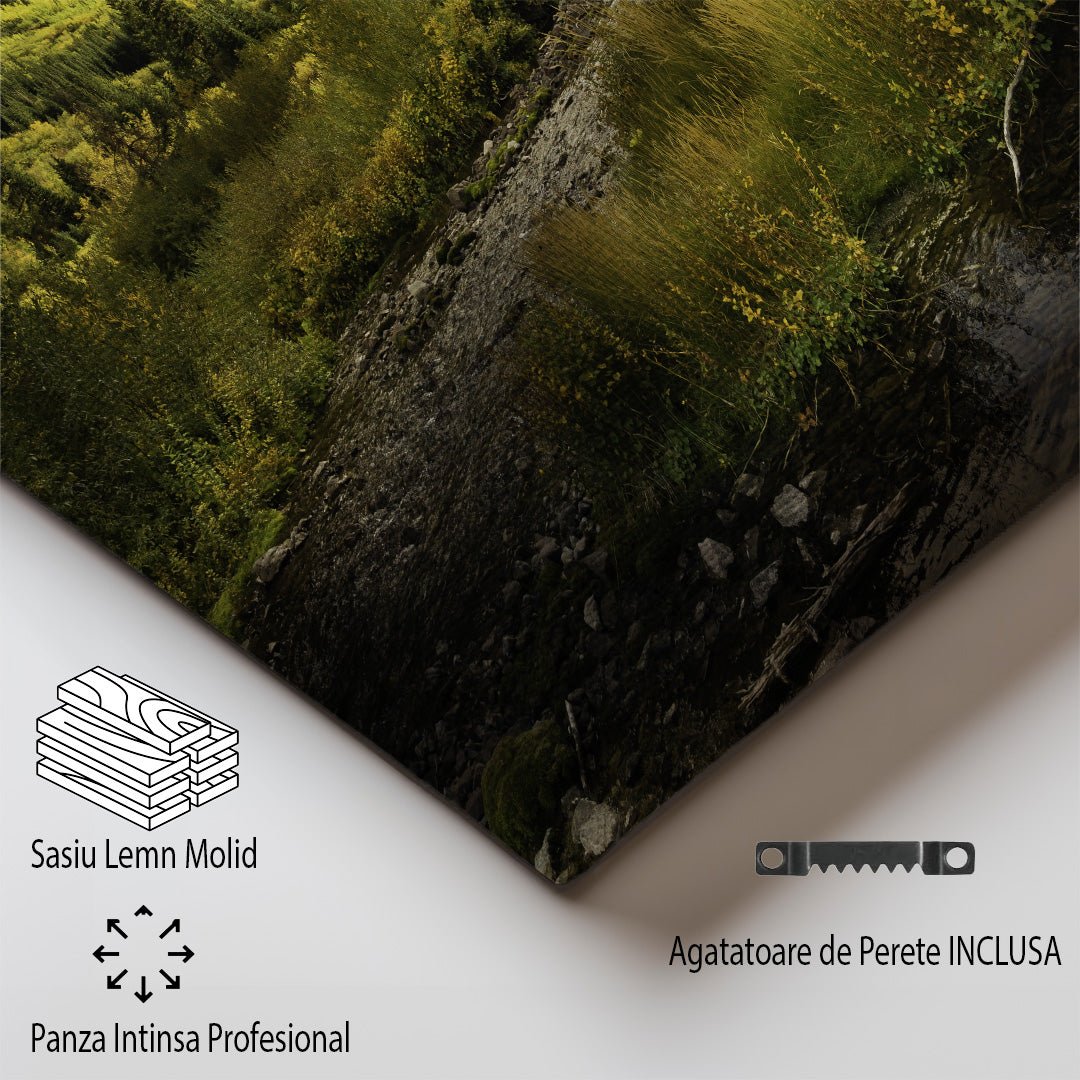 tablou canvas ; tablou pe panza ;tablou personalizat ;tablou abstract ;tablou natura